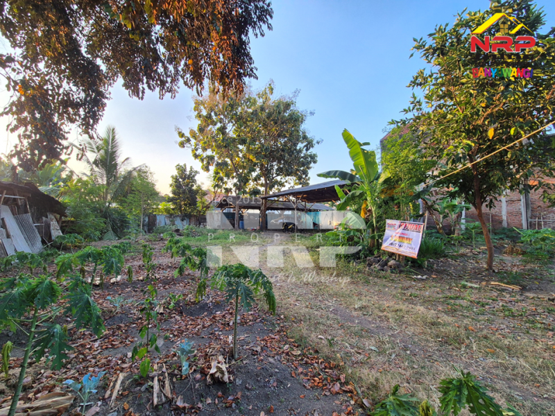 Dijual Tanah Murah Akses mudah 100 Jutaan di Kebalenan Banyuwangi  Dijual Tanah Murah Akses mudah 100 Jutaan di Kebalenan Banyuwangi  Dijual Tanah Murah Akses mudah 100 Jutaan di Kebalenan Banyuwangi&nbsp;
Lokasi sangat strategis dekat SMPN 2 Banyuwangi&nbsp;
Dekat dengan Pusat Bisnis dan NRP BANYUWANGI