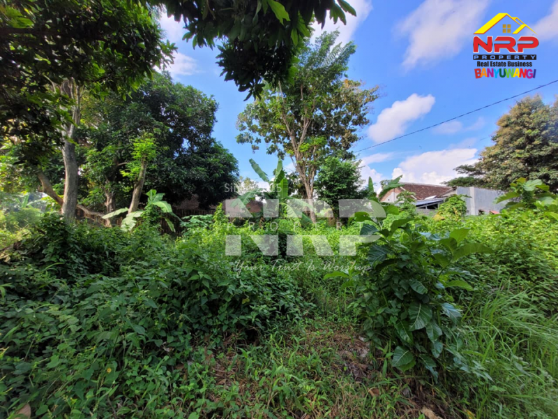 Dijual Tanah Murah berada di Kebalenan - Banyuwangi  Dijual Tanah Murah berada di Kebalenan - Banyuwangi  Dijual Tanah Murah berada di Kebalenan - Banyuwangi&nbsp;
Siap Bangun , Cocok untuk Rumah Tinggal / Kos - Kosan

Luas Tanah : 200 m2
Dimensi 10 x 20 NRP BANYUWANGI