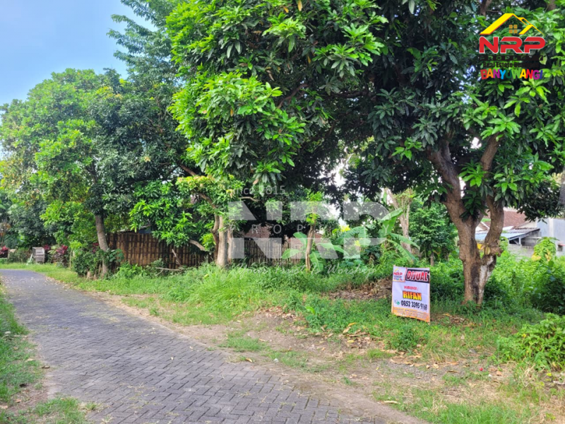 Dijual Tanah Murah berada di Kebalenan - Banyuwangi  Dijual Tanah Murah berada di Kebalenan - Banyuwangi  Dijual Tanah Murah berada di Kebalenan - Banyuwangi&nbsp;
Siap Bangun , Cocok untuk Rumah Tinggal / Kos - Kosan

Luas Tanah : 200 m2
Dimensi 10 x 20 NRP BANYUWANGI