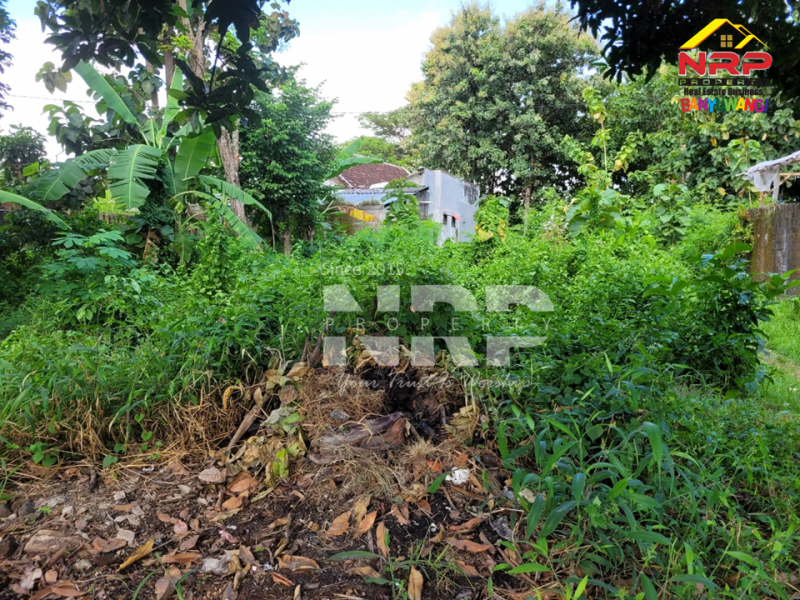 Dijual Tanah Murah berada di Kebalenan - Banyuwangi  Dijual Tanah Murah berada di Kebalenan - Banyuwangi  Dijual Tanah Murah berada di Kebalenan - Banyuwangi&nbsp;
Siap Bangun , Cocok untuk Rumah Tinggal / Kos - Kosan

Luas Tanah : 200 m2
Dimensi 10 x 20 NRP BANYUWANGI