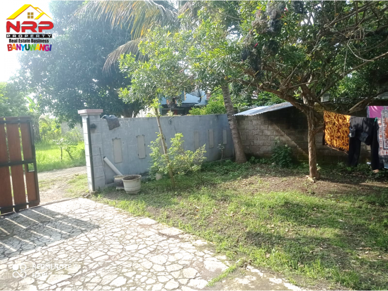 Dijual Tanah Murah Bonus Bangunan Strategis  di tengah kota Banyuwangi  Dijual Tanah Murah Bonus Bangunan Strategis  di tengah kota Banyuwangi  Dijual Tanah Murah Bonus Bangunan Strategis&nbsp; di tengah kota Banyuwangi&nbsp;
Lingkungan komersil, perumahan dan bisnis aktif Banyuwangi.&nbsp;
Dekat NRP BANYUWANGI