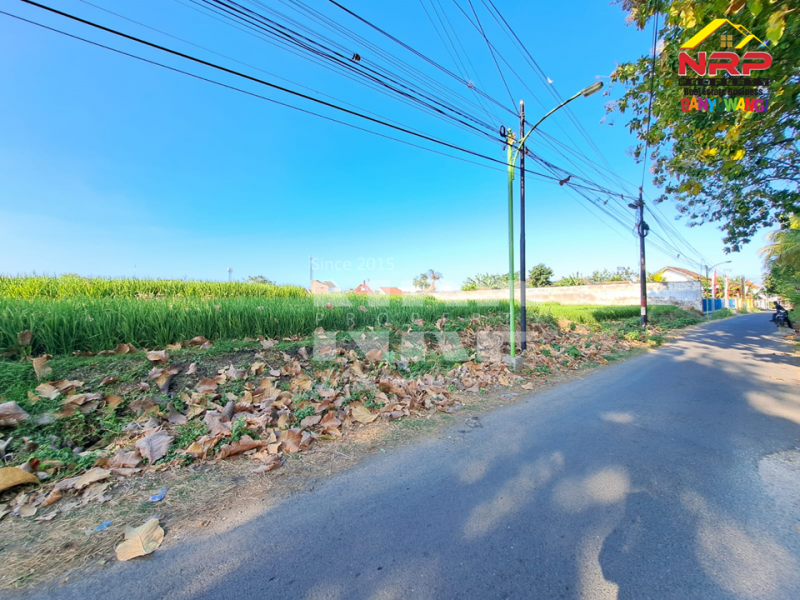 Dijual Tanah Murah dan Luas di Kebalenan,Banyuwangi  Dijual Tanah Murah dan Luas di Kebalenan,Banyuwangi  Dijual Tanah Murah dan Luas di Kebalenan,Banyuwangi&nbsp;
Berada dikawasan Perumahan Banyuwangi, Akses Jl. Aspal Roda 4.&nbsp;
&nbsp;
LUAS TANAH : NRP BANYUWANGI
