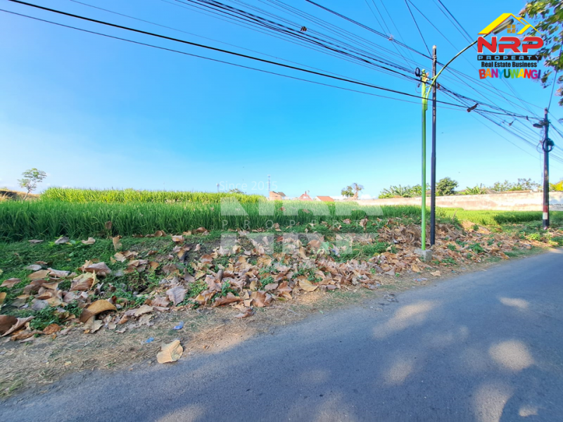 Dijual Tanah Murah dan Luas di Kebalenan,Banyuwangi  Dijual Tanah Murah dan Luas di Kebalenan,Banyuwangi  Dijual Tanah Murah dan Luas di Kebalenan,Banyuwangi&nbsp;
Berada dikawasan Perumahan Banyuwangi, Akses Jl. Aspal Roda 4.&nbsp;
&nbsp;
LUAS TANAH : NRP BANYUWANGI