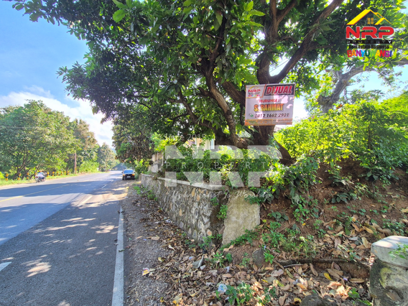 Dijual Tanah Murah di Bangsring - Banyuwangi  Dijual Tanah Murah di Bangsring Wongsorejo - Banyuwangi  Dijual Tanah Murah di Bangsring - Banyuwangi&nbsp;
Dekat dengan Pantai Grand Watudodol, Cocok untuk garasi, gudang, dll.&nbsp;

Luas Tanah : 820 NRP BANYUWANGI
