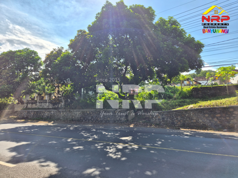 Dijual Tanah Murah di Bangsring - Banyuwangi  Dijual Tanah Murah di Bangsring Wongsorejo - Banyuwangi  Dijual Tanah Murah di Bangsring - Banyuwangi&nbsp;
Dekat dengan Pantai Grand Watudodol, Cocok untuk garasi, gudang, dll.&nbsp;

Luas Tanah : 820 NRP BANYUWANGI