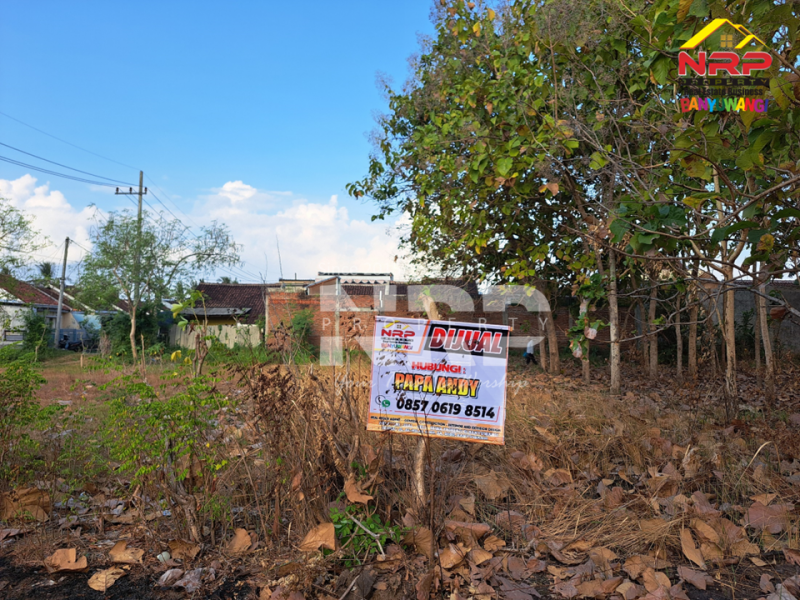 Dijual Tanah Murah di Bawah 100 Juta di Klatak - Banyuwangi  Dijual Tanah Murah di Bawah 100 Juta di Klatak - Banyuwangi  Dijual Tanah Murah di Bawah 100 Juta di Klatak - Banyuwangi&nbsp;
Lokasi Mudah di akses. Terletak di Lingkungan Hotel ( Mahkota Plengkung, Mirah Hotel, NRP BANYUWANGI