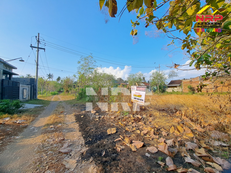 Dijual Tanah Murah di Bawah 100 Juta di Klatak - Banyuwangi  Dijual Tanah Murah di Bawah 100 Juta di Klatak - Banyuwangi  Dijual Tanah Murah di Bawah 100 Juta di Klatak - Banyuwangi&nbsp;
Lokasi Mudah di akses. Terletak di Lingkungan Hotel ( Mahkota Plengkung, Mirah Hotel, NRP BANYUWANGI