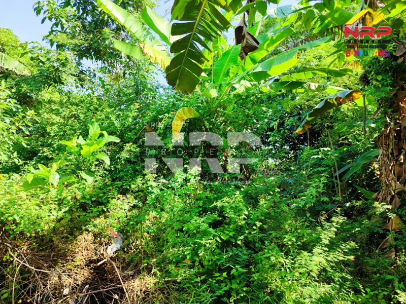 Dijual Tanah Murah di Blambangan Muncar - Banyuwangi  Dijual Tanah Murah di Blambangan Muncar - Banyuwangi  Dijual Tanah Murah di Blambangan Muncar - Banyuwangi&nbsp;
Tepi Jl. Aspal , Dekat dengan Pasar Komir Bagorejo&nbsp;

Luas Tanah : 636 NRP BANYUWANGI