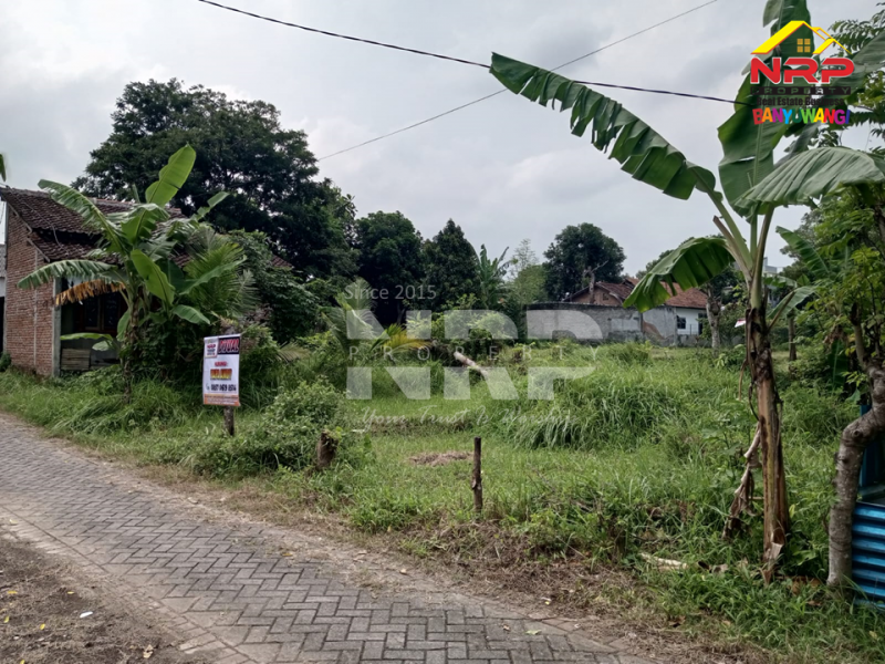 Dijual Tanah Murah di Dekat SMKN 1 Glagah Banyuwangi, Bakungan - Banyuwangi  Dijual Tanah Murah di Dekat SMKN 1 Glagah Banyuwangi, Bakungan - Banyuwangi  Dijual Tanah Murah di Dekat SMKN 1 Glagah Banyuwangi, Bakungan - Banyuwangi&nbsp;
Lokasi dekat dengan Pusat Pendidikan Ternama Banyuwangi dan Stasiun NRP BANYUWANGI