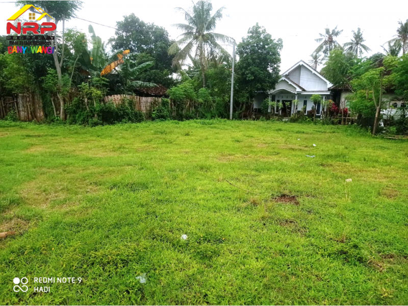 Dijual Tanah Murah di Desa Alasbuluh - Wongsorejo  Dijual Tanah Murah di Desa Alasbuluh - Wongsorejo  Dijual Tanah Murah di Desa Alasbuluh - Wongsorejo&nbsp;
Cocok untuk pengembangan tanah kavling atau perumahan&nbsp;
Dua akses Jl. Bisa Menghadap Utara atau NRP BANYUWANGI