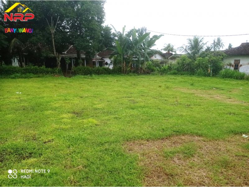 Dijual Tanah Murah di Desa Alasbuluh - Wongsorejo  Dijual Tanah Murah di Desa Alasbuluh - Wongsorejo  Dijual Tanah Murah di Desa Alasbuluh - Wongsorejo&nbsp;
Cocok untuk pengembangan tanah kavling atau perumahan&nbsp;
Dua akses Jl. Bisa Menghadap Utara atau NRP BANYUWANGI