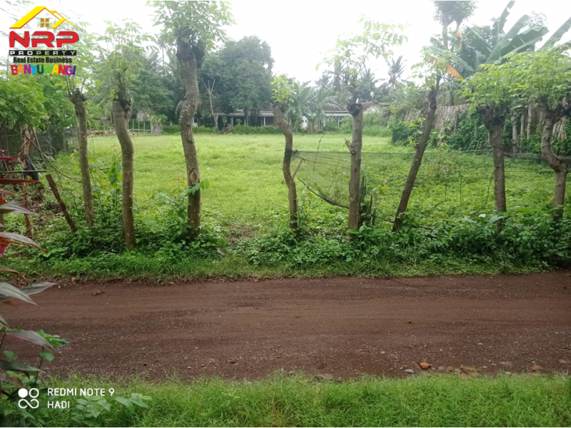 Dijual Tanah Murah di Desa Alasbuluh - Wongsorejo  Dijual Tanah Murah di Desa Alasbuluh - Wongsorejo  Dijual Tanah Murah di Desa Alasbuluh - Wongsorejo&nbsp;
Cocok untuk pengembangan tanah kavling atau perumahan&nbsp;
Dua akses Jl. Bisa Menghadap Utara atau NRP BANYUWANGI