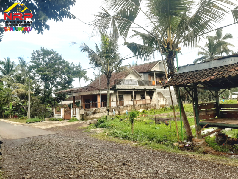 Dijual Tanah Murah di Desa Pesucen Banyuwangi  Dijual Tanah Murah di Desa Pesucen Banyuwangi  Dijual Tanah Murah di Desa Pesucen Banyuwangi
Cocok untuk Usaha Pertanian, Hunian, Homestay, Akses Roda 4 Aspal
Lokasi Sejuk, Asri, dan Nyaman.

Luas Tanah NRP BANYUWANGI