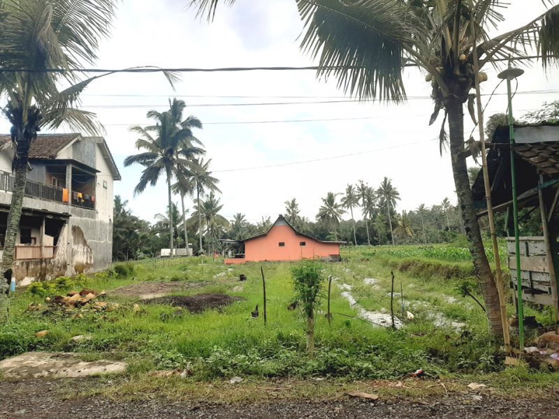Dijual Tanah Murah di Desa Pesucen Banyuwangi  Dijual Tanah Murah di Desa Pesucen Banyuwangi  Dijual Tanah Murah di Desa Pesucen Banyuwangi
Cocok untuk Usaha Pertanian, Hunian, Homestay, Akses Roda 4 Aspal
Lokasi Sejuk, Asri, dan Nyaman.

Luas Tanah NRP BANYUWANGI