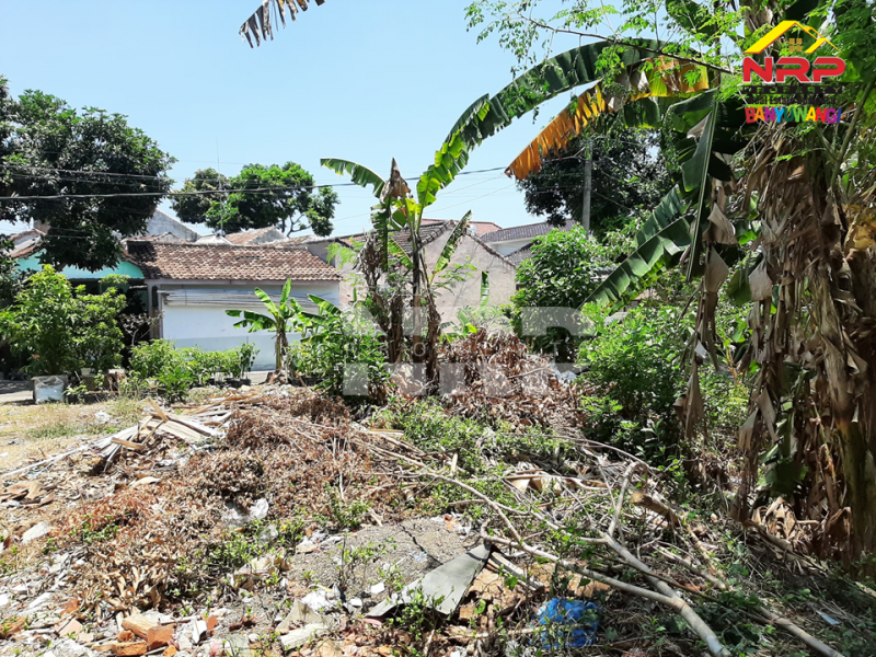 Dijual Tanah Murah di GGM Klatak - Banyuwangi Dijual Tanah Murah di GGM Klatak - Banyuwangi Dijual Tanah Murah di GGM Klatak - Banyuwangi
Tanah strategis di kawasan perumahan. Sangat nyaman untuk tempat tinggal&nbsp;

Luas Tanah : 279 NRP BANYUWANGI