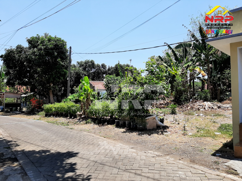 Dijual Tanah Murah di GGM Klatak - Banyuwangi Dijual Tanah Murah di GGM Klatak - Banyuwangi Dijual Tanah Murah di GGM Klatak - Banyuwangi
Tanah strategis di kawasan perumahan. Sangat nyaman untuk tempat tinggal&nbsp;

Luas Tanah : 279 NRP BANYUWANGI