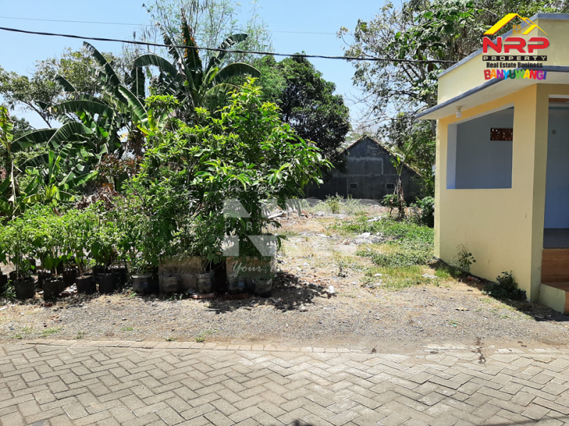 Dijual Tanah Murah di GGM Klatak - Banyuwangi Dijual Tanah Murah di GGM Klatak - Banyuwangi Dijual Tanah Murah di GGM Klatak - Banyuwangi
Tanah strategis di kawasan perumahan. Sangat nyaman untuk tempat tinggal&nbsp;

Luas Tanah : 279 NRP BANYUWANGI