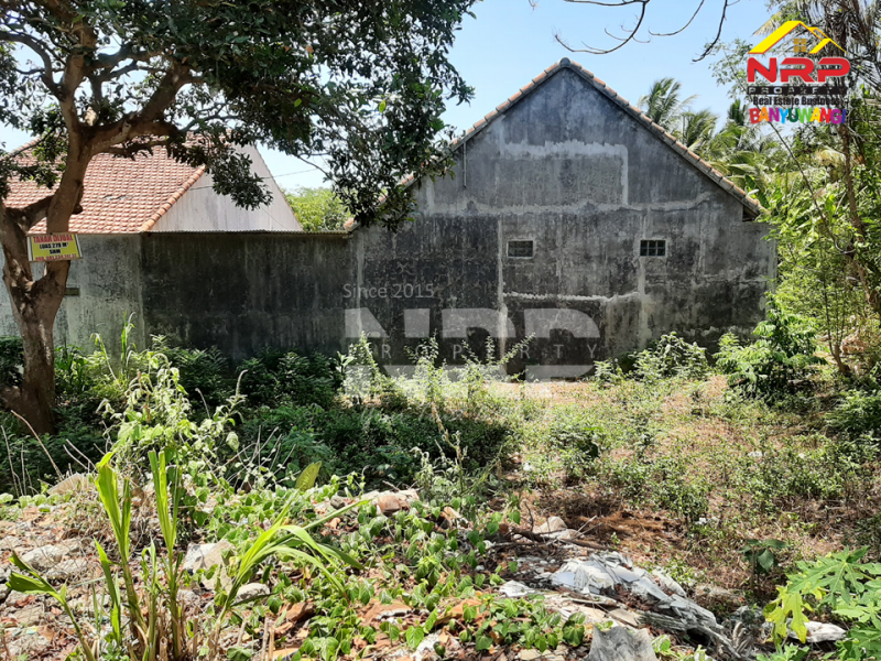 Dijual Tanah Murah di GGM Klatak - Banyuwangi Dijual Tanah Murah di GGM Klatak - Banyuwangi Dijual Tanah Murah di GGM Klatak - Banyuwangi
Tanah strategis di kawasan perumahan. Sangat nyaman untuk tempat tinggal&nbsp;

Luas Tanah : 279 NRP BANYUWANGI