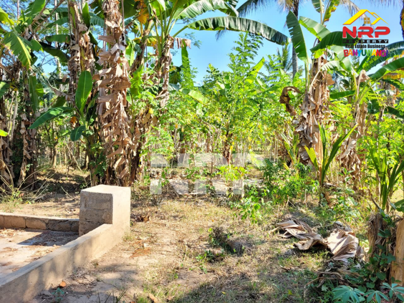 Dijual Tanah Murah di Gombengsari, Kalipuro - Banyuwangi  Dijual Tanah Murah di Gombengsari, Kalipuro - Banyuwangi  Dijual Tanah Murah di Gombengsari, Kalipuro - Banyuwangi&nbsp;
Tanah kavling kebun sudah SHM, 300 meter dari Jalan Samarinda Kalipuro.&nbsp;

Luas Tanah : NRP BANYUWANGI