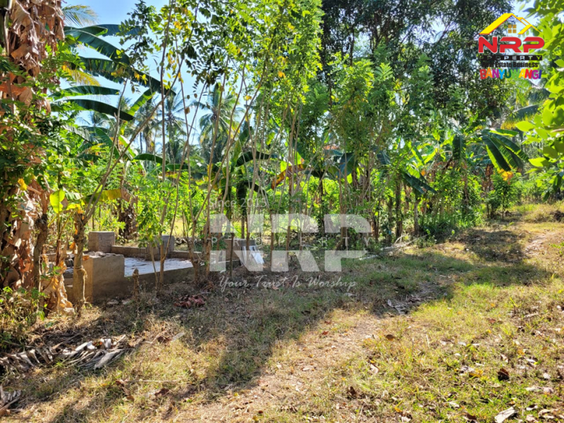 Dijual Tanah Murah di Gombengsari, Kalipuro - Banyuwangi  Dijual Tanah Murah di Gombengsari, Kalipuro - Banyuwangi  Dijual Tanah Murah di Gombengsari, Kalipuro - Banyuwangi&nbsp;
Tanah kavling kebun sudah SHM, 300 meter dari Jalan Samarinda Kalipuro.&nbsp;

Luas Tanah : NRP BANYUWANGI