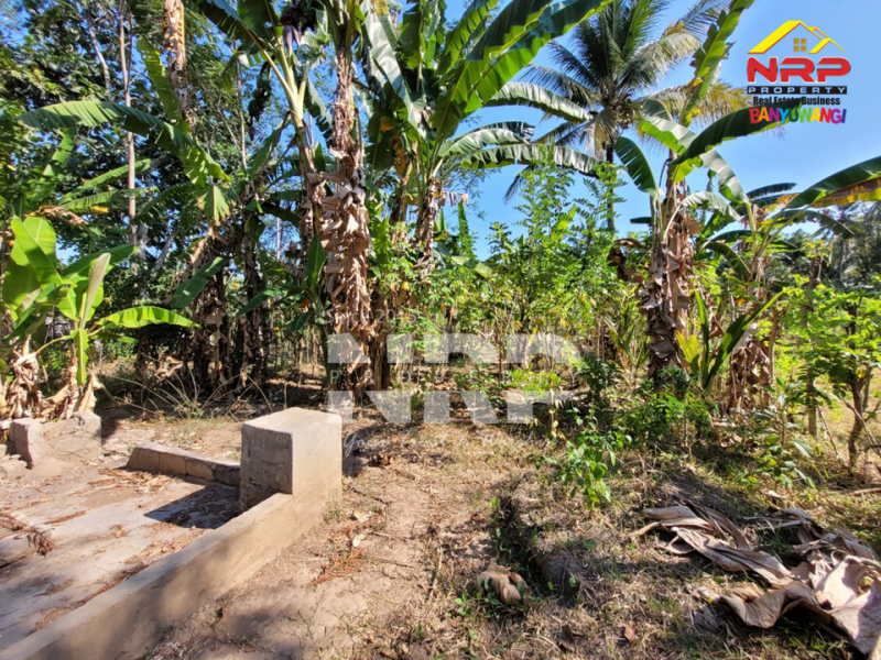 Dijual Tanah Murah di Gombengsari, Kalipuro - Banyuwangi  Dijual Tanah Murah di Gombengsari, Kalipuro - Banyuwangi  Dijual Tanah Murah di Gombengsari, Kalipuro - Banyuwangi&nbsp;
Tanah kavling kebun sudah SHM, 300 meter dari Jalan Samarinda Kalipuro.&nbsp;

Luas Tanah : NRP BANYUWANGI