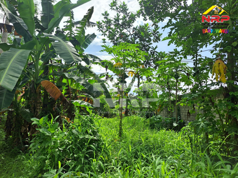 Dijual Tanah Murah di Kalirejo - Banyuwangi  Dijual Tanah Murah di Kalirejo - Banyuwangi  Dijual Tanah Murah di Kalirejo - Banyuwangi&nbsp;
450 meter dari RSI Fatimah Banyuwangi&nbsp;
Cocok untuk investasi jangka panjang atau untuk kebun NRP BANYUWANGI