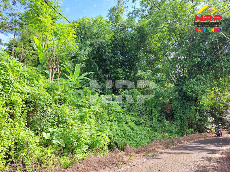 Dijual Tanah Murah di Kalirejo - Banyuwangi  Dijual Tanah Murah di Kalirejo - Banyuwangi  Dijual Tanah Murah di Kalirejo - Banyuwangi&nbsp;
450 meter dari RSI Fatimah Banyuwangi&nbsp;
Cocok untuk investasi jangka panjang atau untuk kebun NRP BANYUWANGI