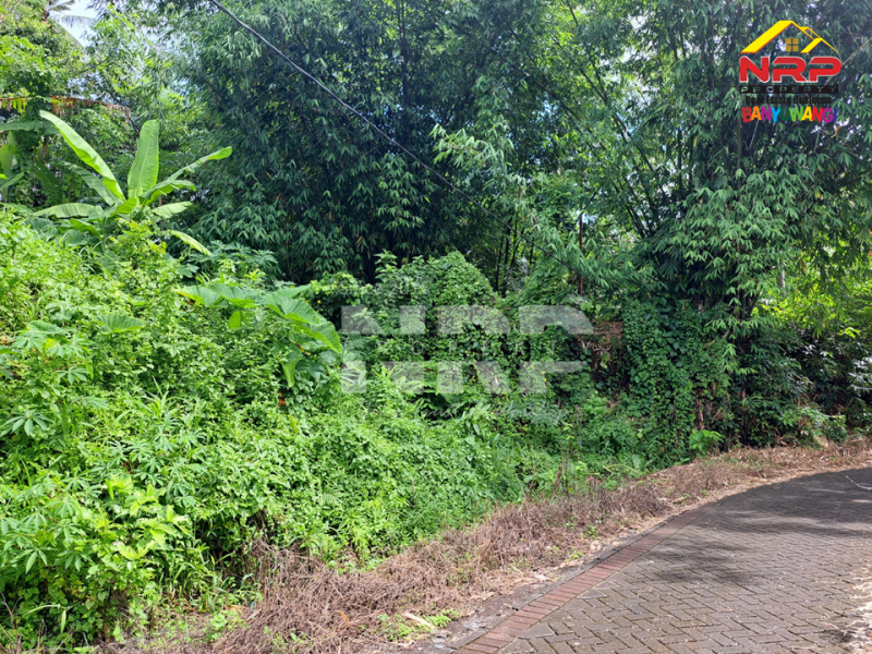 Dijual Tanah Murah di Kalirejo - Banyuwangi  Dijual Tanah Murah di Kalirejo - Banyuwangi  Dijual Tanah Murah di Kalirejo - Banyuwangi&nbsp;
450 meter dari RSI Fatimah Banyuwangi&nbsp;
Cocok untuk investasi jangka panjang atau untuk kebun NRP BANYUWANGI