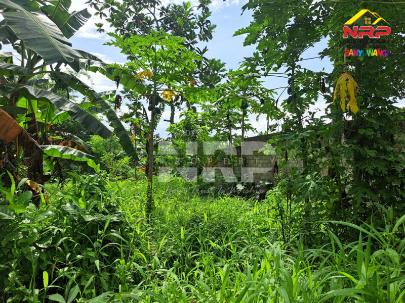 Dijual Tanah Murah di Kalirejo - Banyuwangi  Dijual Tanah Murah di Kalirejo - Banyuwangi  Dijual Tanah Murah di Kalirejo - Banyuwangi&nbsp;
450 meter dari RSI Fatimah Banyuwangi&nbsp;
Cocok untuk investasi jangka panjang atau untuk kebun NRP BANYUWANGI