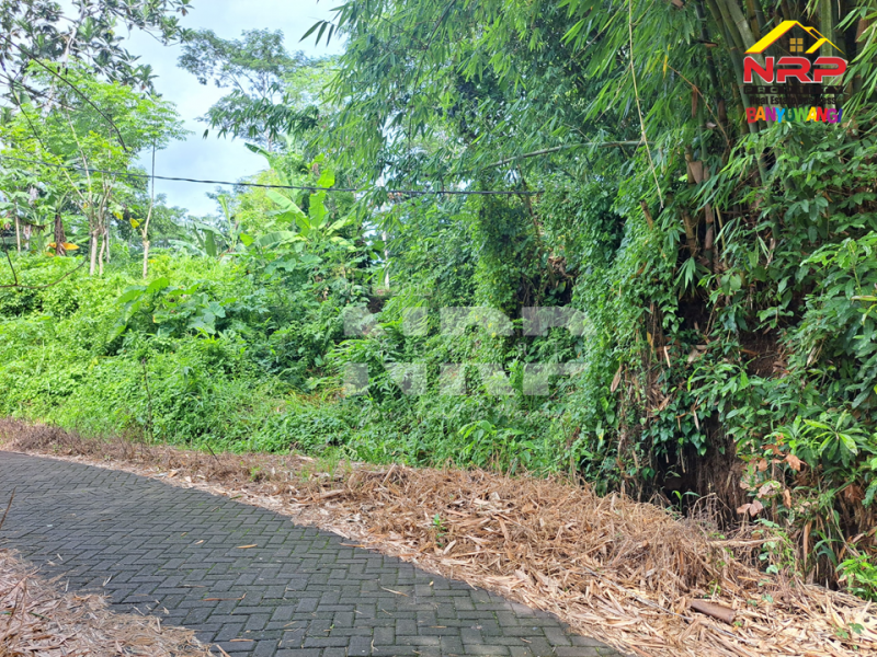 Dijual Tanah Murah di Kalirejo - Banyuwangi  Dijual Tanah Murah di Kalirejo - Banyuwangi  Dijual Tanah Murah di Kalirejo - Banyuwangi&nbsp;
450 meter dari RSI Fatimah Banyuwangi&nbsp;
Cocok untuk investasi jangka panjang atau untuk kebun NRP BANYUWANGI