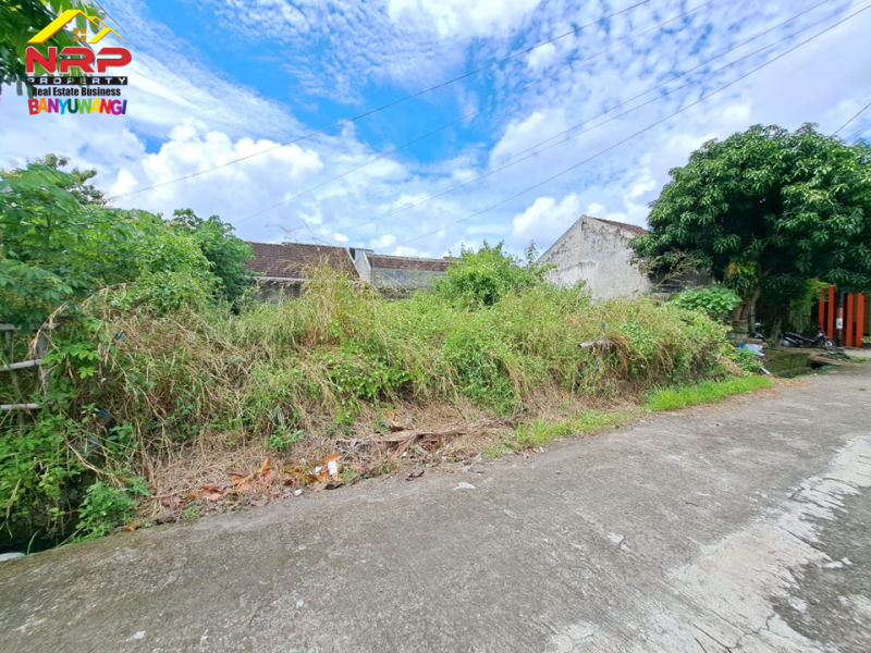Dijual Tanah Murah di Perum. Citra Garden Lemahbang - Rogojampi  Dijual Tanah Murah di Perum. Citra Garden Lemahbang - Rogojampi  Dijual Tanah di Perum. Citra Garden Lemahbang
One get sistem area, Akse 0 Jl. Lemahbang Rogojampi&nbsp;
Sangat cocok untuk investasi maupun NRP BANYUWANGI