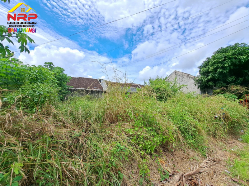 Dijual Tanah Murah di Perum. Citra Garden Lemahbang - Rogojampi  Dijual Tanah Murah di Perum. Citra Garden Lemahbang - Rogojampi  Dijual Tanah di Perum. Citra Garden Lemahbang
One get sistem area, Akse 0 Jl. Lemahbang Rogojampi&nbsp;
Sangat cocok untuk investasi maupun NRP BANYUWANGI