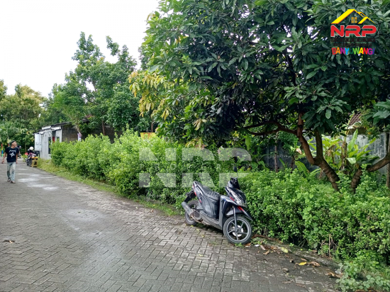 Dijual Tanah Murah di Perumahan area Kalipuro - Banyuwangi  Dijual Tanah Murah di Perumahan area Kalipuro - Banyuwangi  Dijual Tanah Murah di Perumahan area Kalipuro - Banyuwangi&nbsp;&nbsp;
Dekat SMPN 2 Kalipuro, Cocok Untuk Hunian , Padat Penduduk.

Luas Tanah : 262 NRP BANYUWANGI