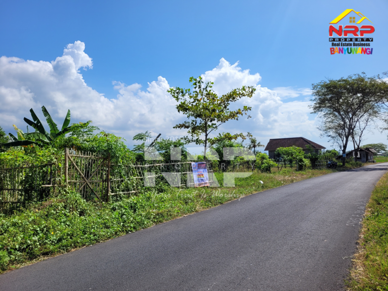 Dijual Tanah Murah di Pondoknongko, Kabat - Banyuwangi  Dijual Tanah Murah di Pondoknongko, Kabat - Banyuwangi  Dijual Tanah Murah di Pondoknongko, Kabat - Banyuwangi&nbsp;
Tanah sudah bersertifikat akses jalan lintas timur banyuwangi, Aspal hot mix
Cocok untuk NRP BANYUWANGI