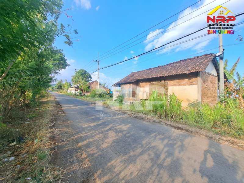Dijual Tanah Murah di Secang, Kalipuro - Banyuwangi   Dijual Tanah Murah di Secang, Kalipuro - Banyuwangi   Dijual Tanah Murah di Secang, Kalipuro - Banyuwangi&nbsp;&nbsp;
Berada di tepi Jl. Surabaya, Secang. Dekat dengan GITET PLN Kalipuro
View Selat NRP BANYUWANGI