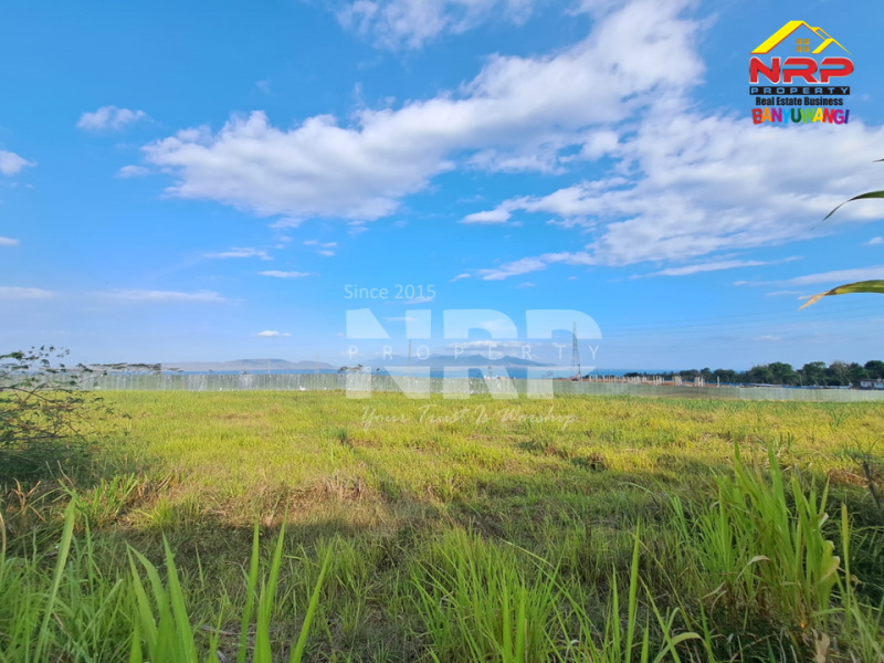 Dijual Tanah Murah di Secang, Kalipuro - Banyuwangi   Dijual Tanah Murah di Secang, Kalipuro - Banyuwangi   Dijual Tanah Murah di Secang, Kalipuro - Banyuwangi&nbsp;&nbsp;
Berada di tepi Jl. Surabaya, Secang. Dekat dengan GITET PLN Kalipuro
View Selat NRP BANYUWANGI