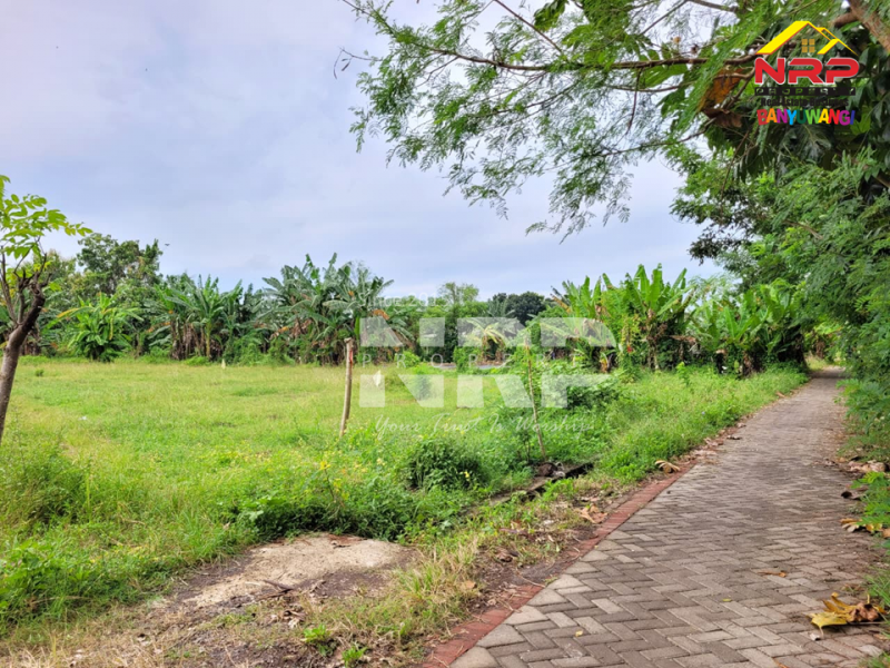 Dijual Tanah Murah di Singotrunan - Banyuwangi  Dijual Tanah Murah di Singotrunan - Banyuwangi  Dijual Tanah Murah di Singotrunan - Banyuwangi&nbsp;
Dekat dengan Sekolah, 5 Menit dari Pusat Bisnis Jl. Basuki Rahmat
Akses Jln. Paving&nbsp;&nbsp;

Luas NRP BANYUWANGI