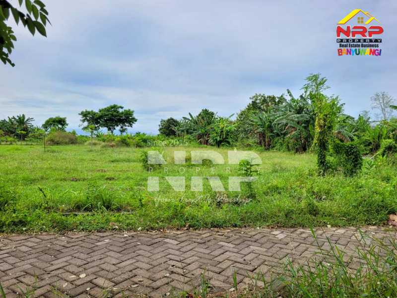 Dijual Tanah Murah di Singotrunan - Banyuwangi  Dijual Tanah Murah di Singotrunan - Banyuwangi  Dijual Tanah Murah di Singotrunan - Banyuwangi&nbsp;
Dekat dengan Sekolah, 5 Menit dari Pusat Bisnis Jl. Basuki Rahmat
Akses Jln. Paving&nbsp;&nbsp;

Luas NRP BANYUWANGI