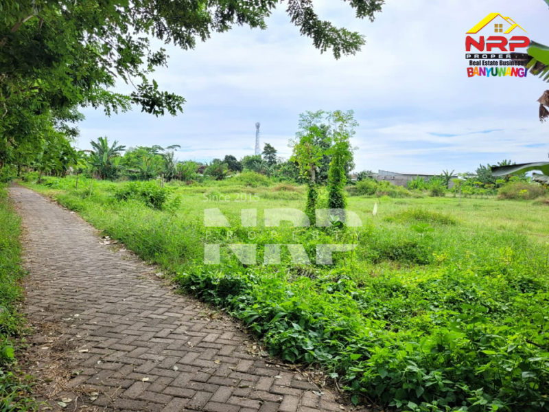 Dijual Tanah Murah di Singotrunan - Banyuwangi  Dijual Tanah Murah di Singotrunan - Banyuwangi  Dijual Tanah Murah di Singotrunan - Banyuwangi&nbsp;
Dekat dengan Sekolah, 5 Menit dari Pusat Bisnis Jl. Basuki Rahmat
Akses Jln. Paving&nbsp;&nbsp;

Luas NRP BANYUWANGI