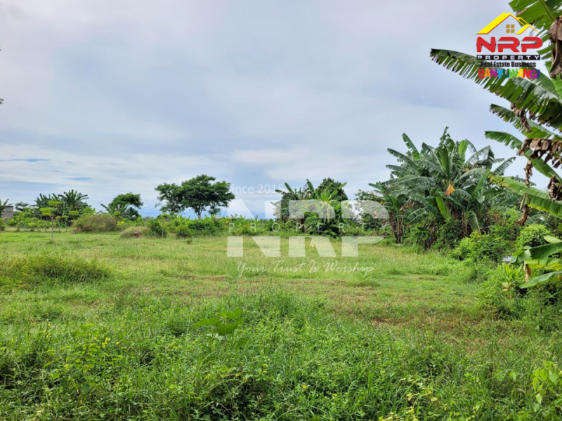 Dijual Tanah Murah di Singotrunan - Banyuwangi  Dijual Tanah Murah di Singotrunan - Banyuwangi  Dijual Tanah Murah di Singotrunan - Banyuwangi&nbsp;
Dekat dengan Sekolah, 5 Menit dari Pusat Bisnis Jl. Basuki Rahmat
Akses Jln. Paving&nbsp;&nbsp;

Luas NRP BANYUWANGI