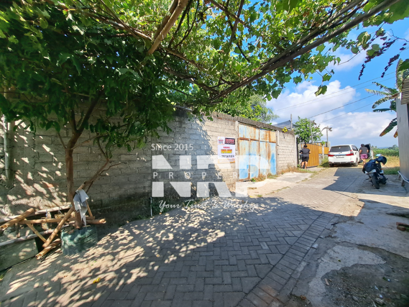 Dijual Tanah Murah di Singotrunan - Banyuwangi  Dijual Tanah Murah di Singotrunan - Banyuwangi  Dijual Tanah Murah di Singotrunan - Banyuwangi&nbsp;
Dekat dengan Pabrik PKBR, 5 Menit dari Pusat Bisnis Jl. Basuki Rahmat

Luas Tanah : 240 NRP BANYUWANGI