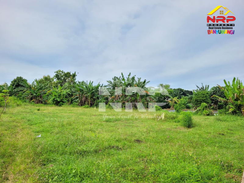 Dijual Tanah Murah di Singotrunan - Banyuwangi  Dijual Tanah Murah di Singotrunan - Banyuwangi  Dijual Tanah Murah di Singotrunan - Banyuwangi&nbsp;
Dekat dengan Sekolah, 5 Menit dari Pusat Bisnis Jl. Basuki Rahmat
Akses Jln. Paving&nbsp;&nbsp;

Luas NRP BANYUWANGI