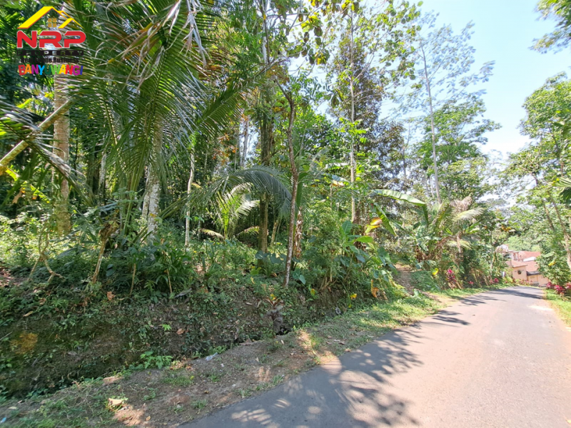 Dijual Tanah Murah di tepi Jl .Desa Kampunganyar  - Banyuwangi  Dijual Tanah Murah di tepi Jl .Desa Kampunganyar  - Banyuwangi  Dijual Tanah Murah di tepi Jl .Desa Kampunganyar&nbsp; - Banyuwangi&nbsp;
Dekat dengan Air Terjun Jagir, Perkebunan Kalibendo, dan Agro Wisata NRP BANYUWANGI