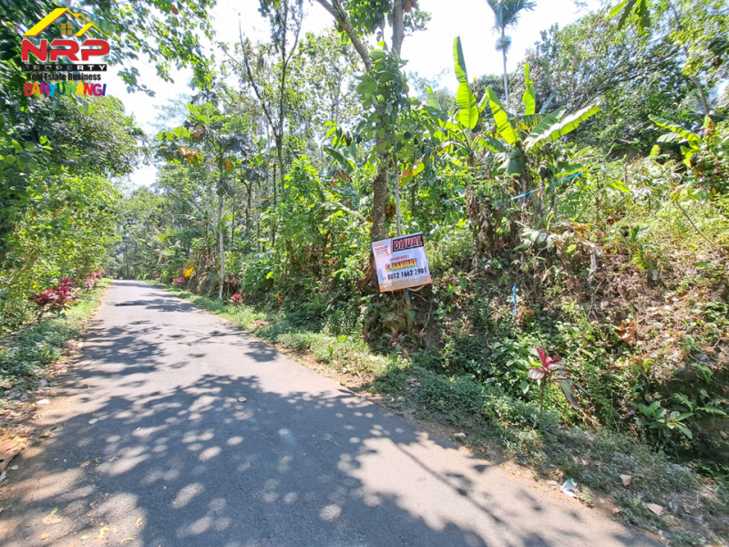 Dijual Tanah Murah di tepi Jl .Desa Kampunganyar  - Banyuwangi  Dijual Tanah Murah di tepi Jl .Desa Kampunganyar  - Banyuwangi  Dijual Tanah Murah di tepi Jl .Desa Kampunganyar&nbsp; - Banyuwangi&nbsp;
Dekat dengan Air Terjun Jagir, Perkebunan Kalibendo, dan Agro Wisata NRP BANYUWANGI