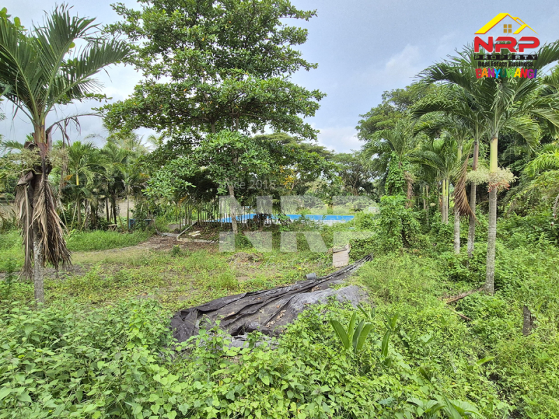 Dijual Tanah Murah  Ex. Tempat Wisata tepi Jl. Lintas Barat Rogojampi  - Banyuwangi Dijual Tanah Termurah dan Strategis di Rogojampi  Dijual Tanah Ex. Tempat Wisata tepi Jl. Lintas Barat Rogojampi&nbsp; - Banyuwangi
Strategis dekat Kampus ITSNU dan Poliwangi Banyuwangi.&nbsp;

Luas Tanah : NRP BANYUWANGI