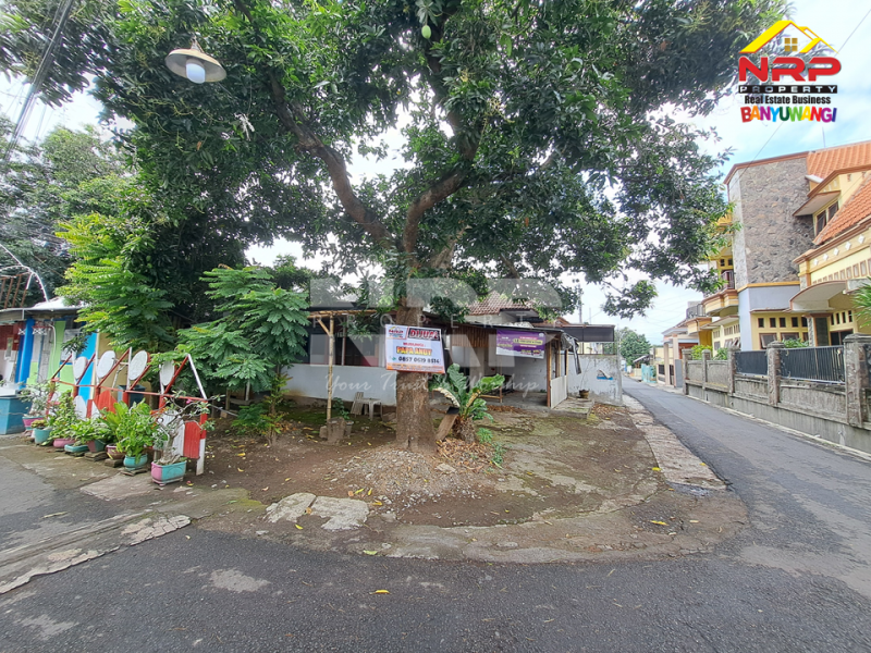 Dijual Tanah Murah Hook di Jantung Kota Banyuwangi  jual tana murah hook di jantung kota banyuwangi  Dijual Tanah Murah Hook di Jantung Kota Banyuwangi&nbsp;
Strategis berada di belakang taman makam pahlawan
Cocok untuk hunian pribadi, rumah kos, homestay, NRP BANYUWANGI