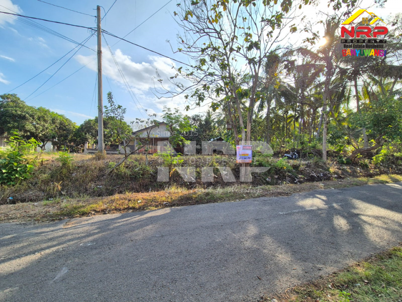 Dijual Tanah Murah Hook di tepi Jl. Samarinda - Kalipuro  Dijual Tanah Murah Hook di tepi Jl. Samarinda - Kalipuro  Dijual Tanah Murah Hook di tepi Jl. Samarinda - Kalipuro&nbsp;
Dekat dengan Fasilitas pendidikan dan olahraga.&nbsp;
Sangat cocok untuk rumah hunian atau NRP BANYUWANGI