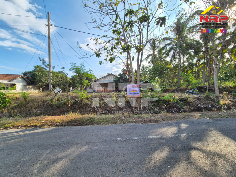Dijual Tanah Murah Hook di tepi Jl. Samarinda - Kalipuro  Dijual Tanah Murah Hook di tepi Jl. Samarinda - Kalipuro  Dijual Tanah Murah Hook di tepi Jl. Samarinda - Kalipuro&nbsp;
Dekat dengan Fasilitas pendidikan dan olahraga.&nbsp;
Sangat cocok untuk rumah hunian atau NRP BANYUWANGI