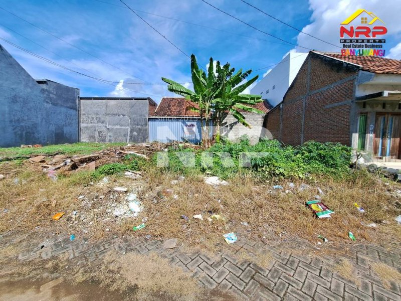 Dijual Tanah Murah Kavling Siap Bangun di Perum. Griya Dadapan Indah Banyuwangi  Dijual Tanah Murah Kavling Siap Bangun di Perum. Griya Dadapan Indah Banyuwangi  Dijual Tanah Murah Kavling Siap Bangun di Perum. Griya Dadapan Indah Banyuwangi&nbsp;
Lokasi Sangat Strategis Dekat dengan Wisata Banyuwangi Park dan NRP BANYUWANGI