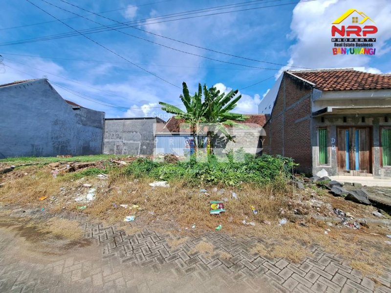 Dijual Tanah Murah Kavling Siap Bangun di Perum. Griya Dadapan Indah Banyuwangi  Dijual Tanah Murah Kavling Siap Bangun di Perum. Griya Dadapan Indah Banyuwangi  Dijual Tanah Murah Kavling Siap Bangun di Perum. Griya Dadapan Indah Banyuwangi&nbsp;
Lokasi Sangat Strategis Dekat dengan Wisata Banyuwangi Park dan NRP BANYUWANGI